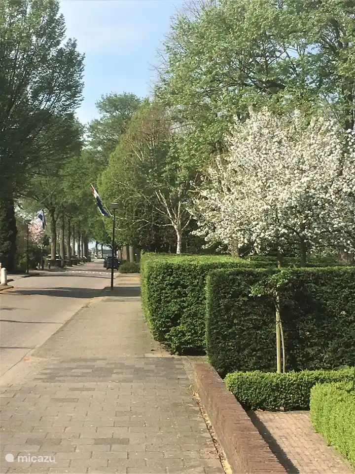 De Pelikaanweg in de lente