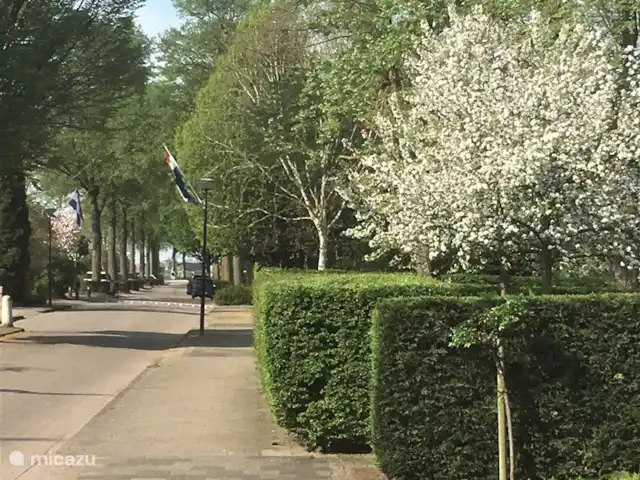 Le Pélican | Pays-Bas, Utrecht, Werkhoven - gîte / cottage La Pelican Road au printemps