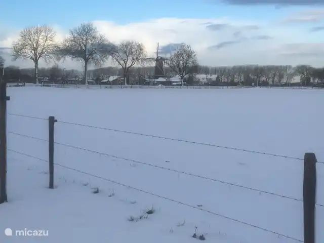 Le Pélican | Pays-Bas, Utrecht, Werkhoven - gîte / cottage Image d'hiver à Werkhoven