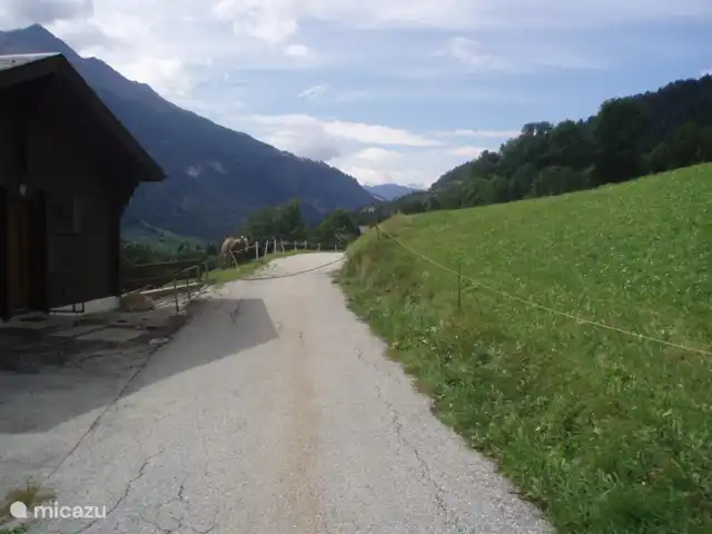 Location de Vacances Suisse, Valais, Fiesch, chalet - Chalet Rivendell Sentier pédestre devant la porte vers Lax