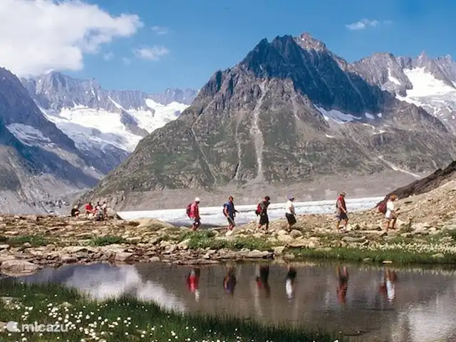 Location de Vacances Suisse, Valais, Fiesch, chalet - Chalet Rivendell Le glacier d'Aletsch juste au-dessus de Fiesch