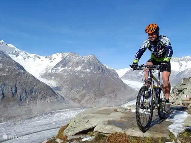 Location de Vacances Suisse, Valais, Fiesch, chalet - Chalet Rivendell vélo de montagne