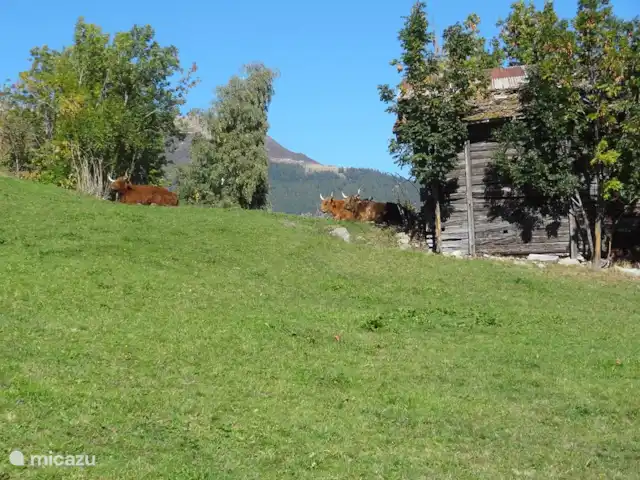 Location de Vacances Suisse, Valais, Fiesch, chalet - Chalet Rivendell A 200 m du chalet