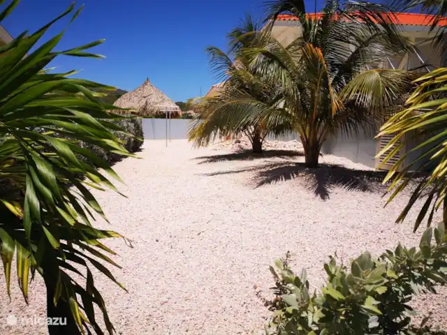 Villa Kasia Curacao huren in Curaçao, Banda Abou (west), Fontein - villa tuin