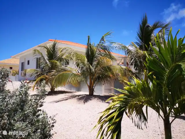 Villa Kasia Curacao huren in Curaçao, Banda Abou (west), Fontein - villa tuin
