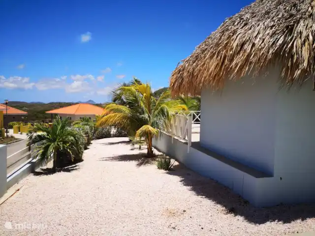Villa Kasia Curacao huren in Curaçao, Banda Abou (west), Fontein - villa tuin