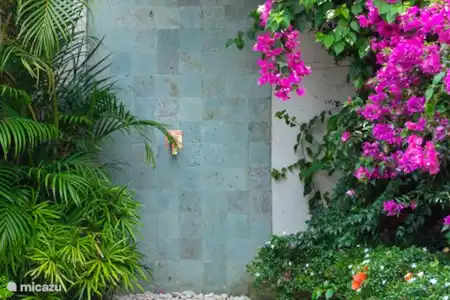 Vakantiehuis Indonesië, Bali, Tumbu villa Villa Pasir Putih .