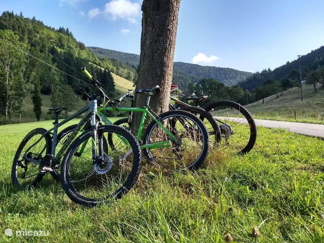 Ciclismo de monta&#241;a en los hermosos alrededores por senderos bien se&#241;alizados