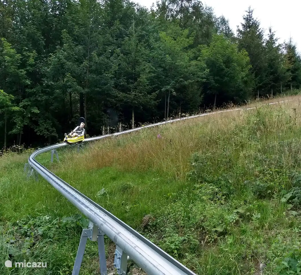Experimente las diversas pistas de trineo de verano en el &#225;rea de Winterberg.