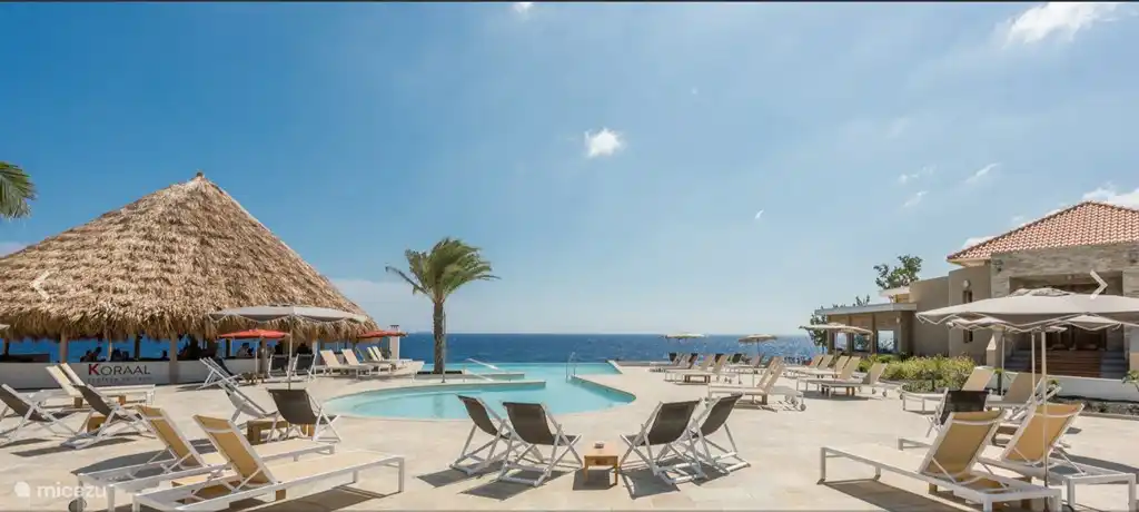 Bar et terrasse de corail