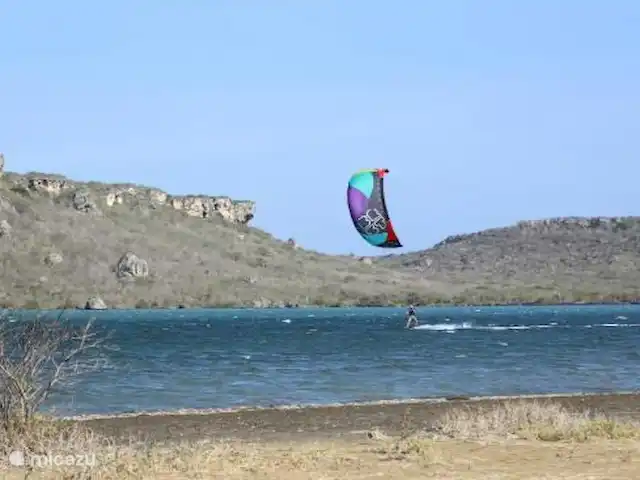 Villa Una | Curaçao, Banda Abou (ouest), Coral Estate, Rif St.Marie - villa Kitesurf à Willibrordus