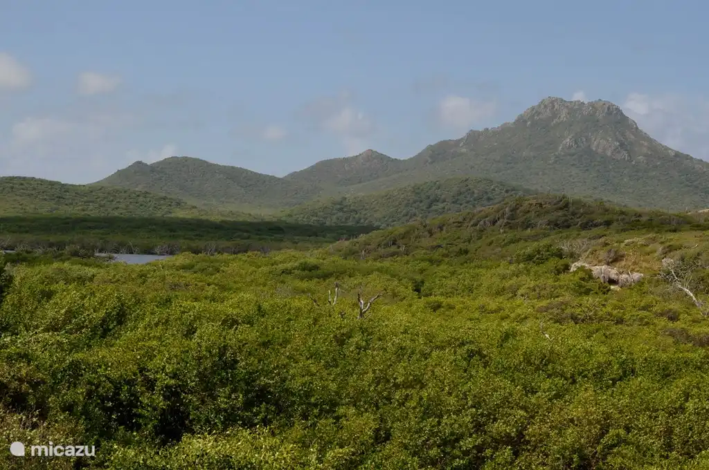 Parc national du mont Christopher