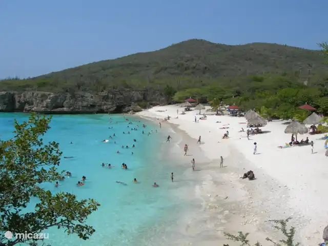 Villa Una | Curaçao, Banda Abou (ouest), Coral Estate, Rif St.Marie - villa Plage Grote Knip