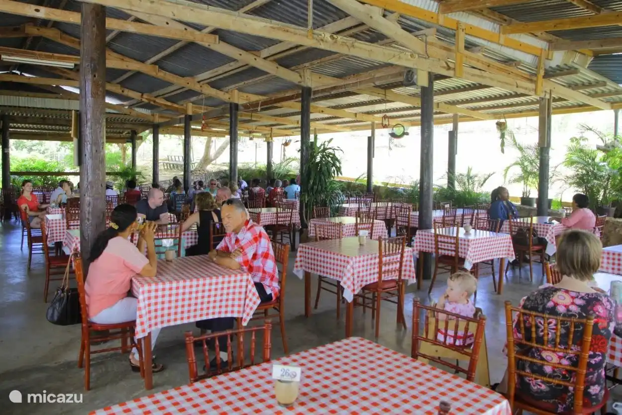 Cuisine locale du jardin du docteur