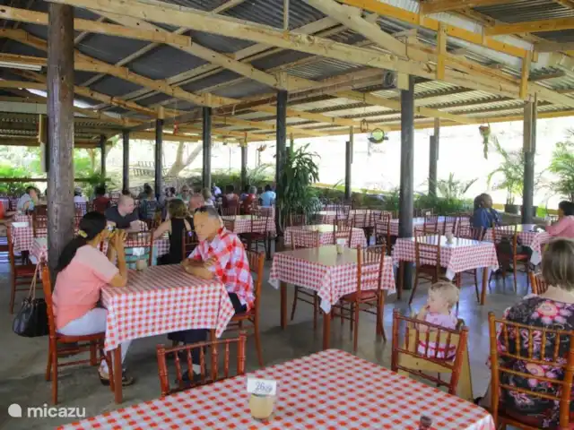 Villa Una | Curaçao, Banda Abou (ouest), Coral Estate, Rif St.Marie - villa Cuisine locale du jardin du docteur