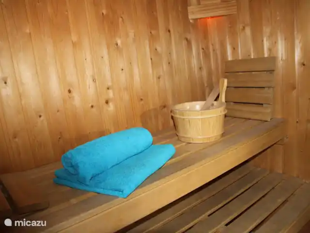 Maison zélandaise au bord de la mer | Pays-Bas, Zélande, Kamperland - maison de vacances Sauna royal