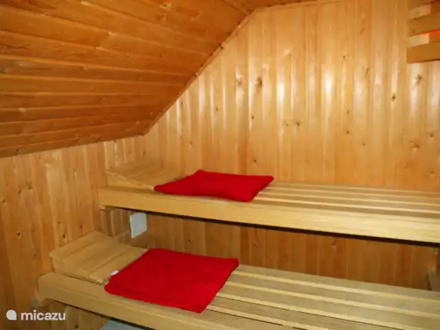 Maison zélandaise au bord de la mer | Pays-Bas, Zélande, Kamperland - maison de vacances Sauna royal