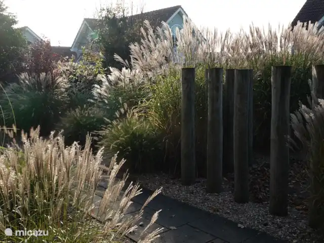Maison zélandaise au bord de la mer | Pays-Bas, Zélande, Kamperland - maison de vacances