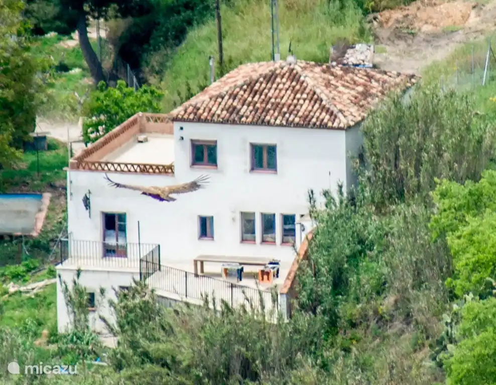 Derrière Otro Mundo, avec 2 grandes terrasses, la photo a été prise avec un super bon objectif, à 1 km de distance, avec un vrai rapace !