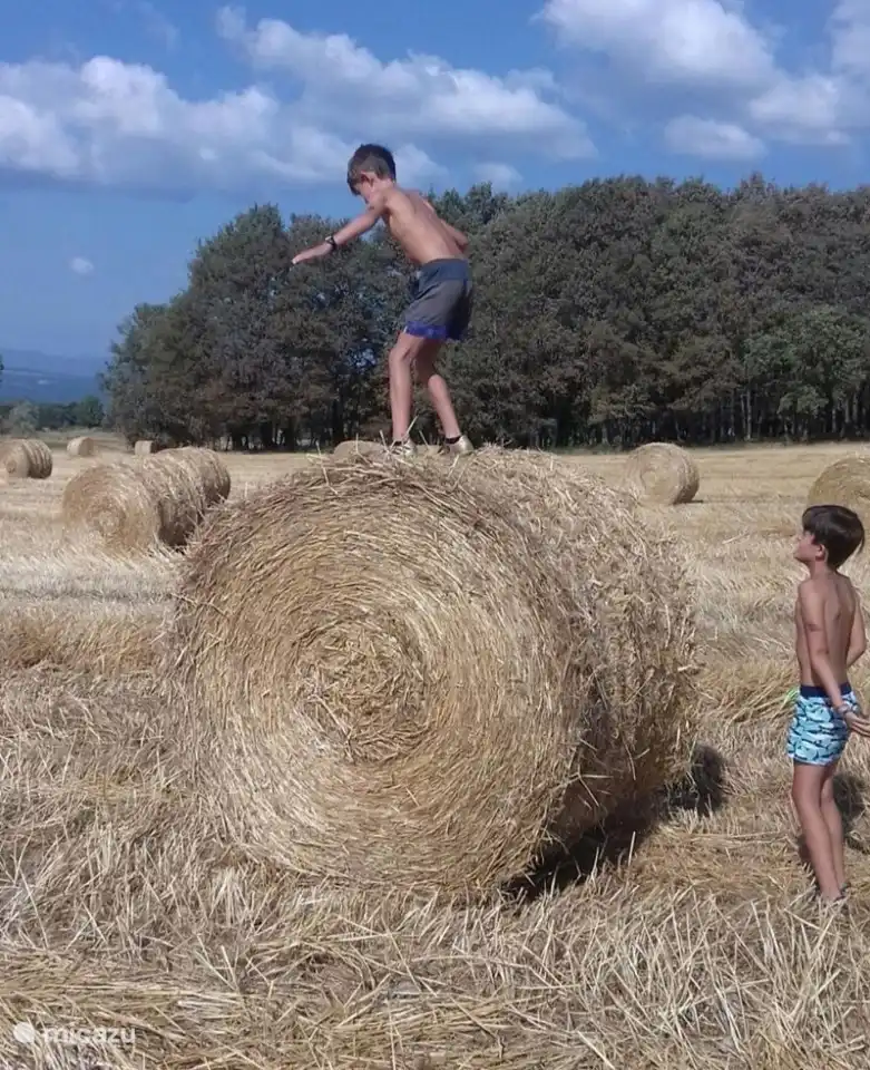 sympa dans la campagne andalouse !