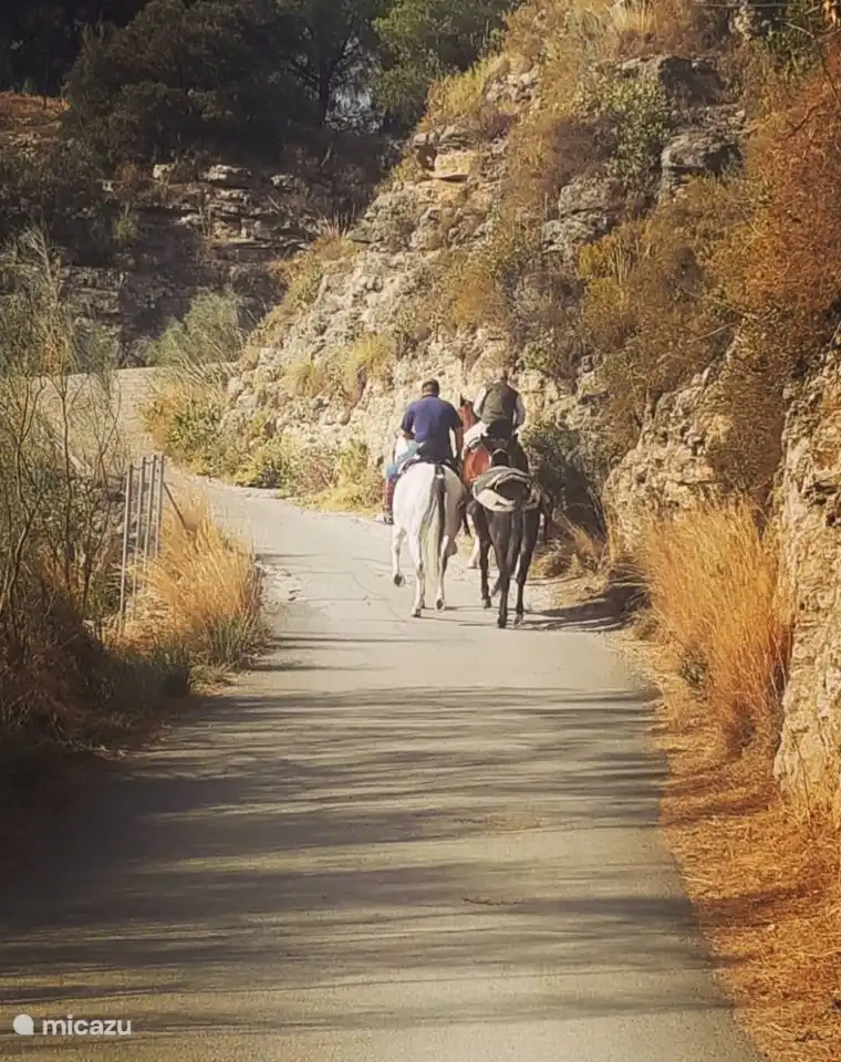 L'équitation à Ronda est possible avec un guide.