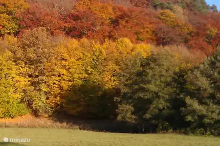 Herfst in Frankenau