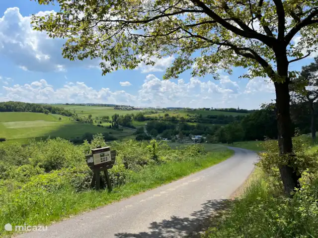 Vélos électriques de randonnée *The Apple Blossom* | Allemagne, Sauerland, Frankenau - maison de vacances vues en vous promenant dans le parc