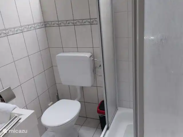 Vélos électriques de randonnée *The Apple Blossom* | Allemagne, Sauerland, Frankenau - maison de vacances Salle de bain en mezzanine avec toilettes, douche et lavabo. Vanne thermostatique adaptée aux enfants. Douche à haute pression.
