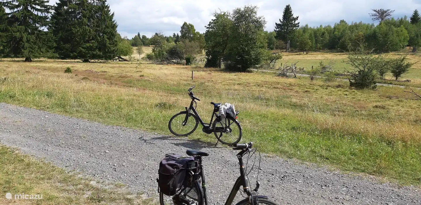 Es gibt viele gut gepflegte Wanderwege