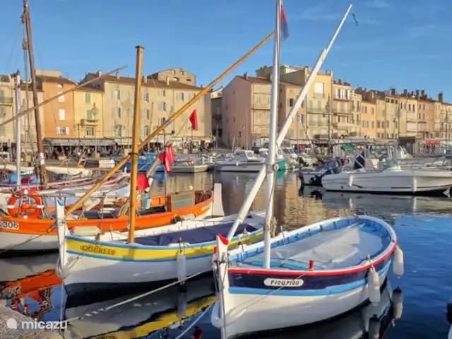 Villa Roca | France, Côte d'Azur, Les Issambres - villa St. Tropez