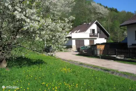 Vakantiehuis Tsjechië, Reuzengebergte, Lanov U Vrchlabi - villa Villa Lanov voorjaar