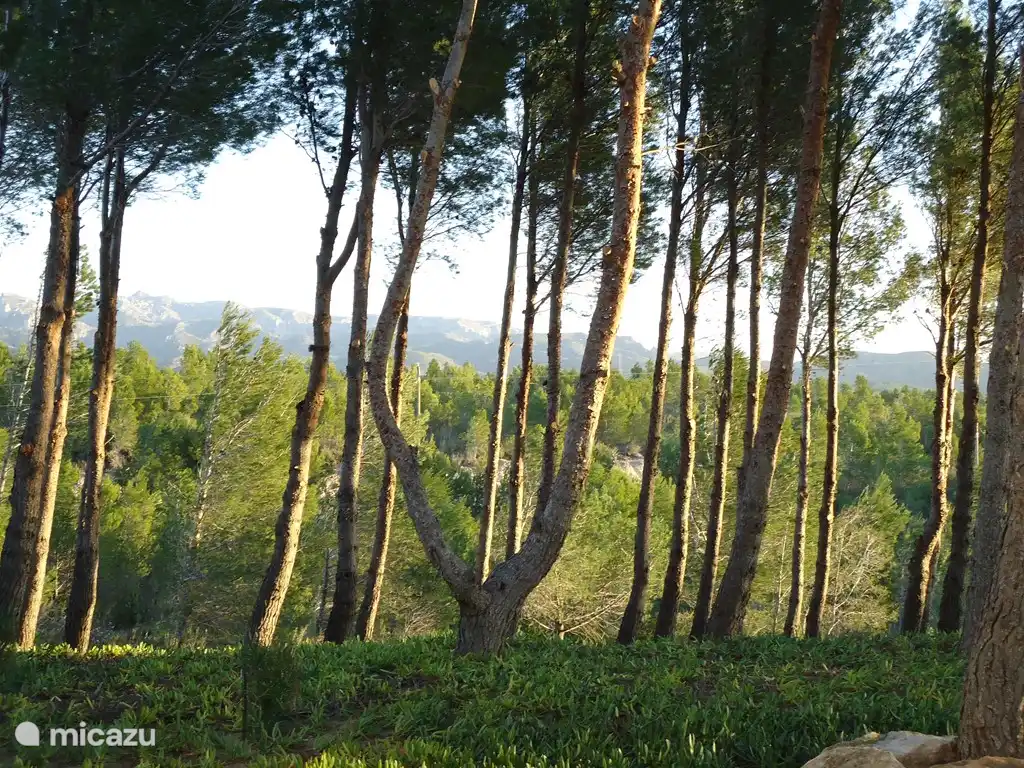 .Villa DUERO Calafat Retraites