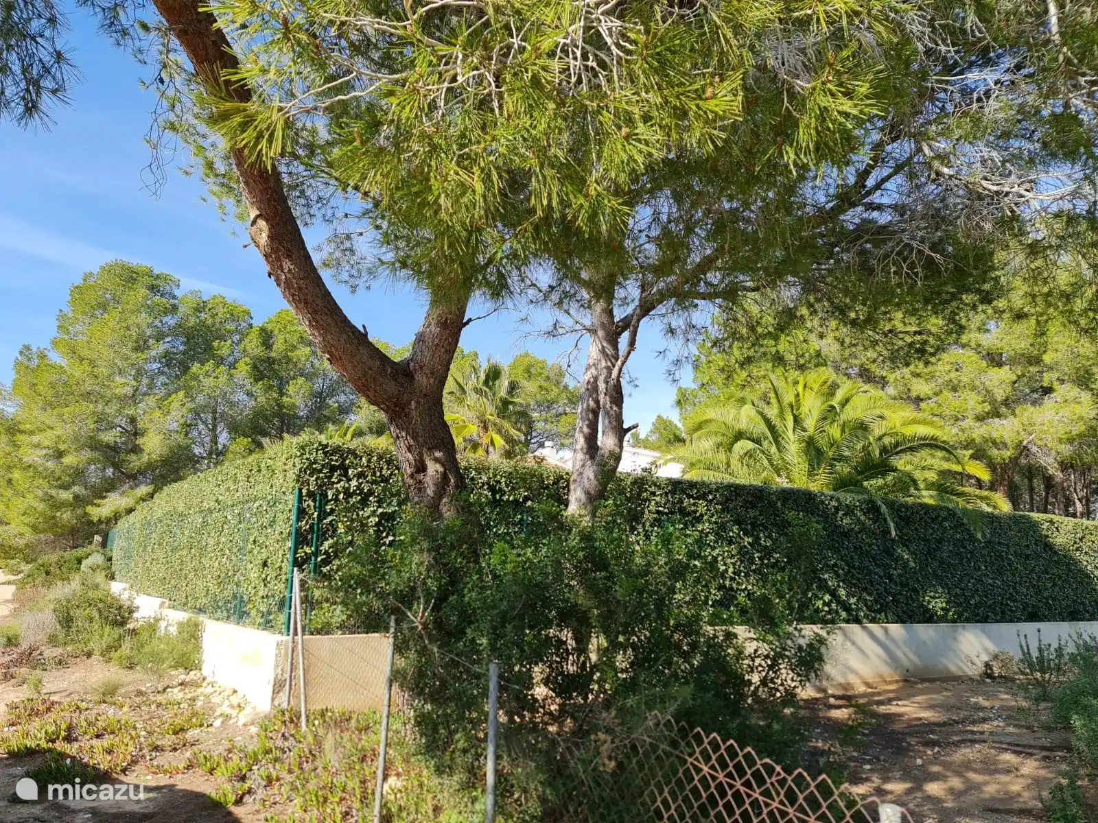 .Villa DUERO Retraites Calafat
Les photos que Google Map montre pour cet emplacement sont des photos obsolètes datant de 2010. Ces photos de la façade datent de janvier 2024. Intimité totale dans l'espace piscine. Aucune vue sur la piscine depuis la rue ni depuis les voisins.