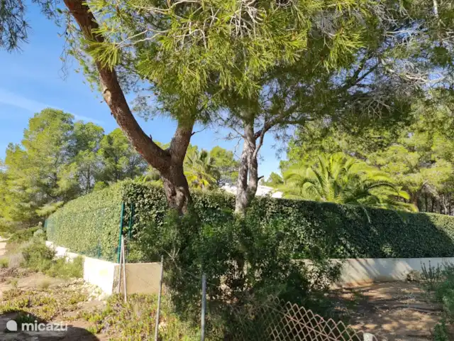 Villa Duero | Espagne, Costa Dorada, L'Ametlla de Mar - villa .Villa DUERO Retraites Calafat
Les photos que Google Map montre pour cet emplacement sont des photos obsolètes datant de 2010. Ces photos de la façade datent de janvier 2024. Intimité totale dans l'espace piscine. Aucune vue sur la piscine depuis la rue ni depuis les voisins.