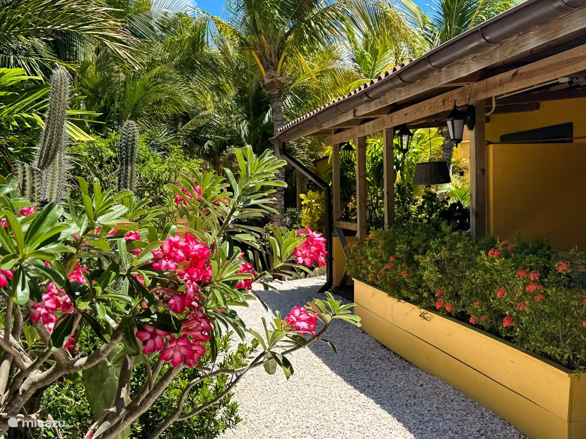 El jardín alrededor de los estudios.