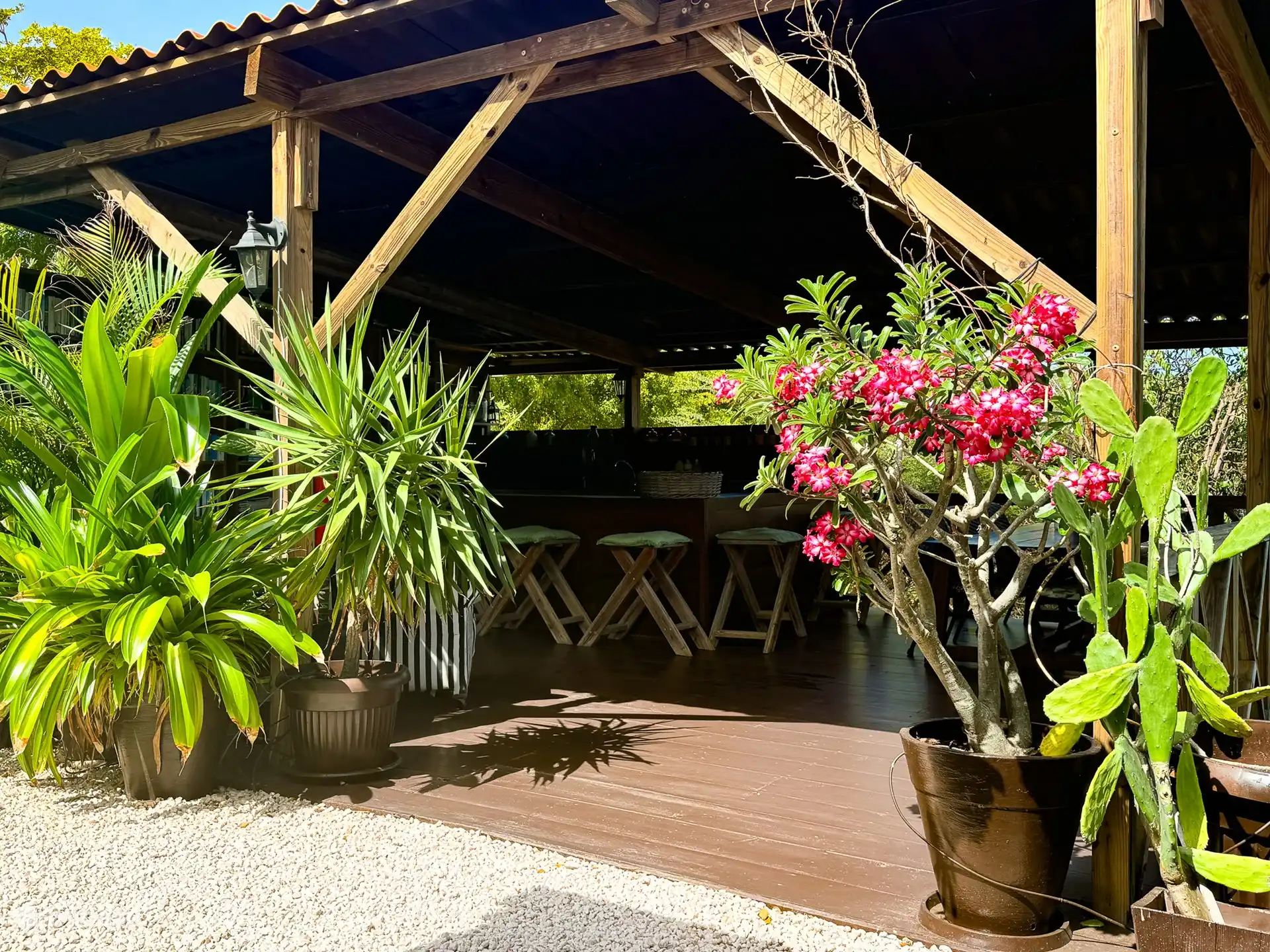 Frente a los estudios hay una gran cocina al aire libre con una terraza sombreada. Un lugar resguardado donde el viento siempre refresca y es maravilloso alojarse. La cocina al aire libre está totalmente equipada con estufa, placa grill, prensa francesa, hervidor de agua, licuadora, etc. Hay asientos de bar alrededor de la cocina y hay 