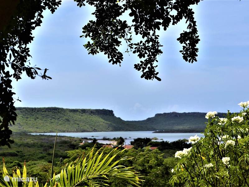 Vakantiehuis Curaçao, Banda Abou (west), Sint Willibrordus Studio Iguana View Studio Jan Kok Lodges