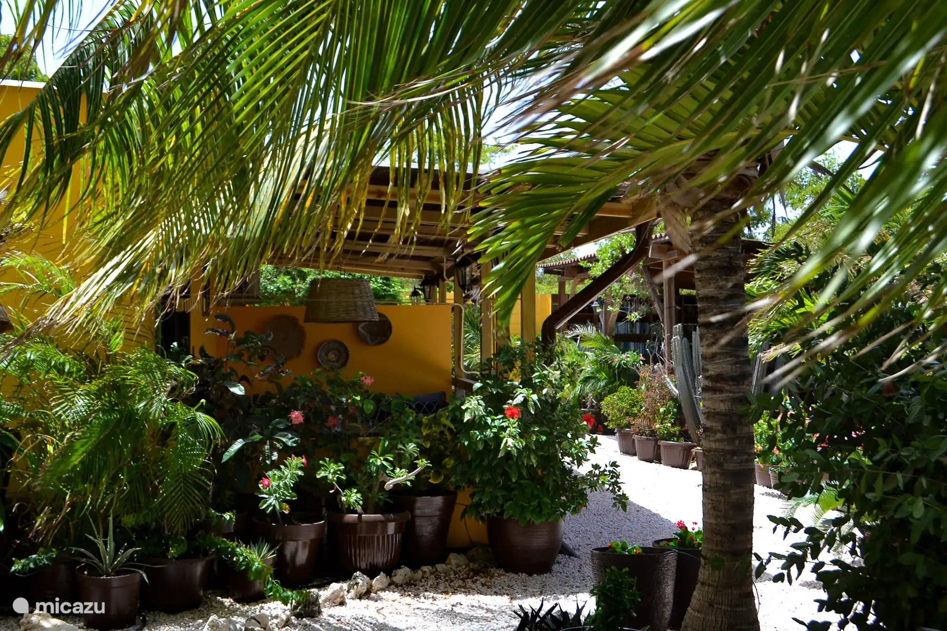 El jardín tiene una gran cantidad de plantas y flores coloridas.