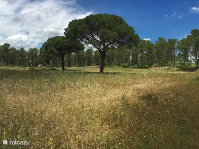 Casa la Colina | Espagne, Costa Brava, L'Estartit - maison de vacances Grande forêt / réserve naturelle à deux pas