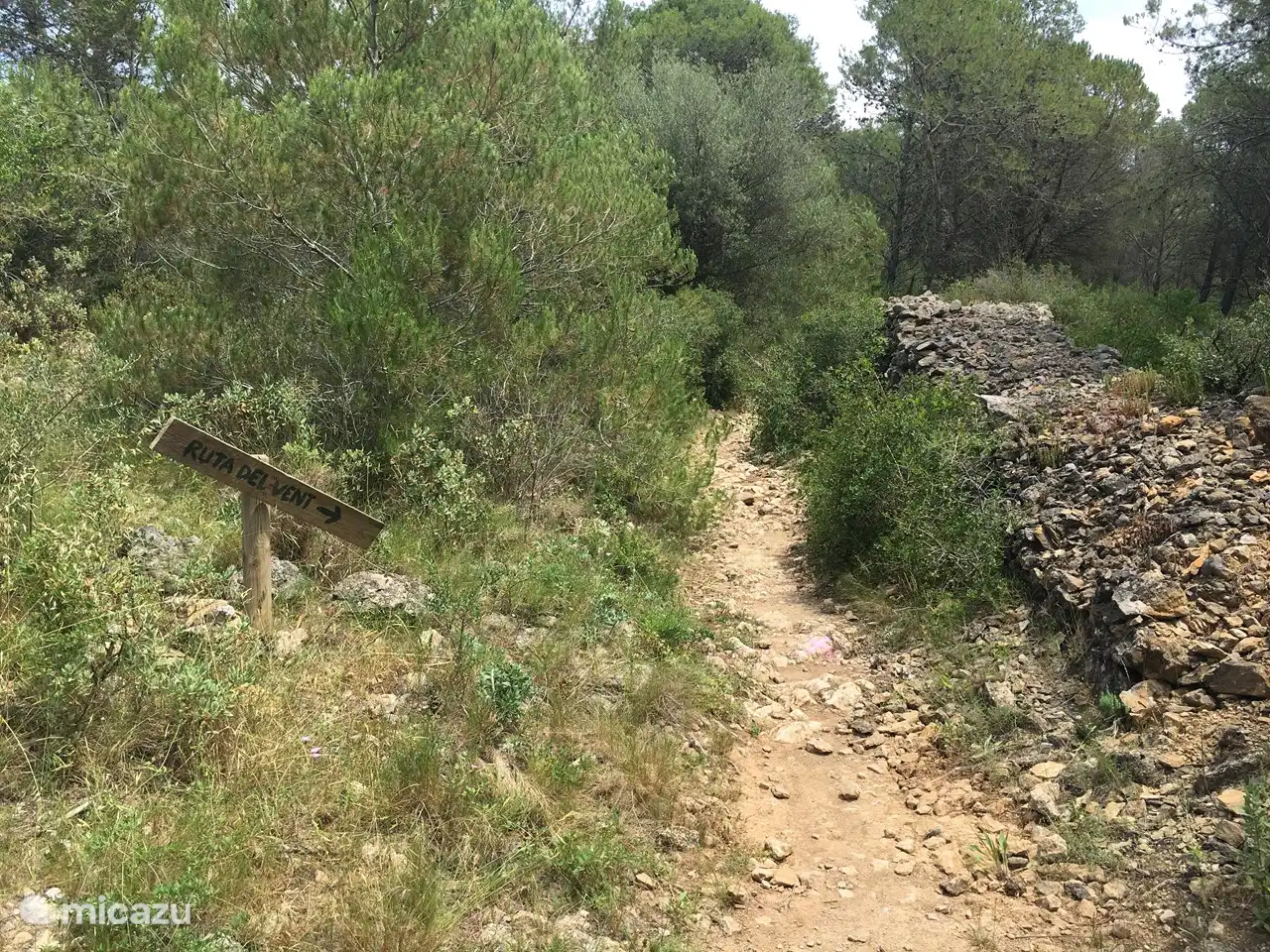 Grande forêt / réserve naturelle à deux pas