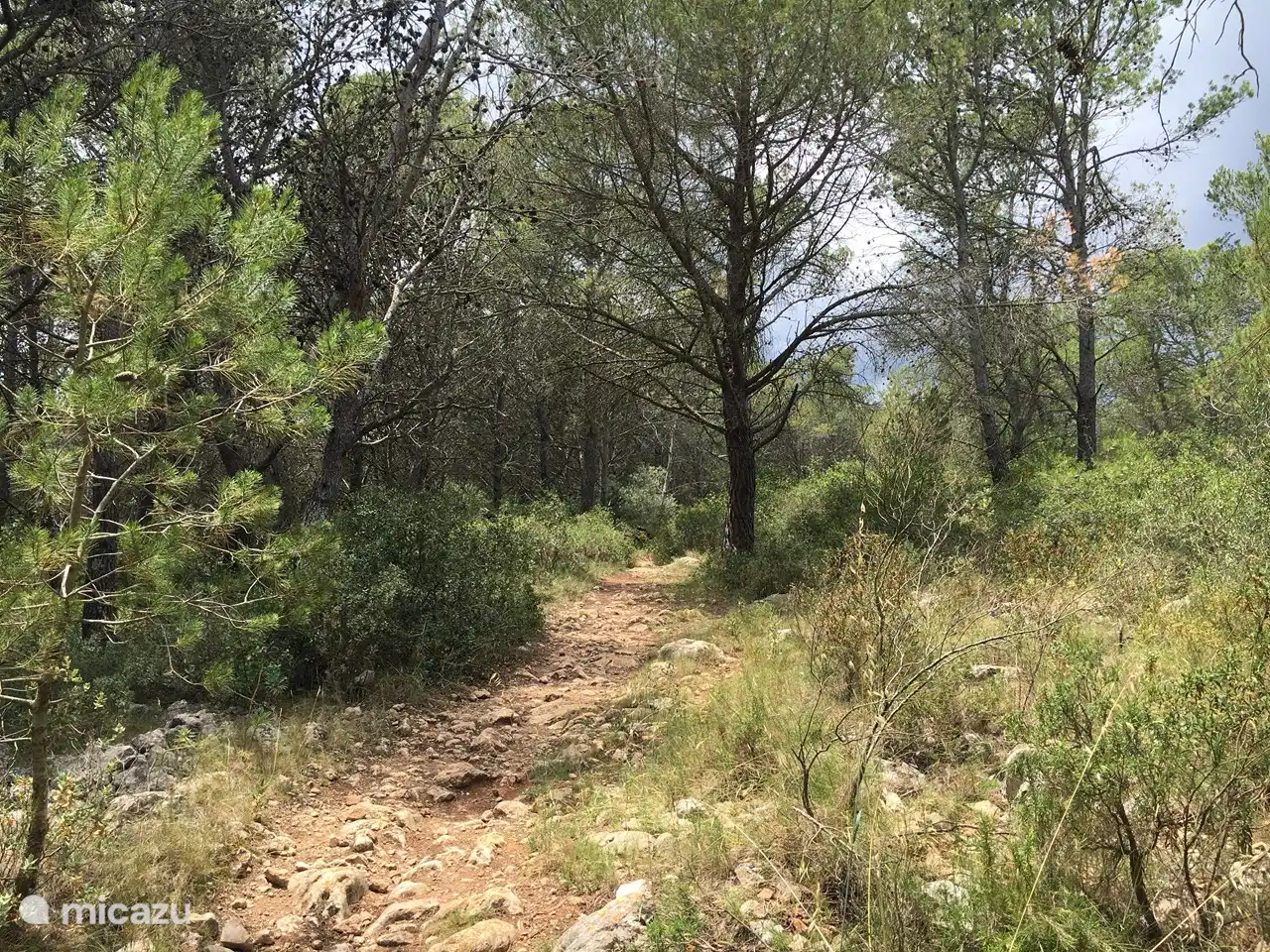 Grande forêt / réserve naturelle à deux pas