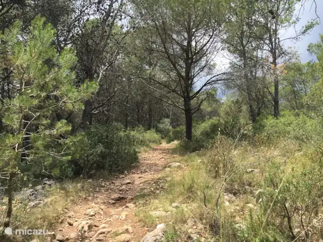 Casa la Colina | Espagne, Costa Brava, L'Estartit - maison de vacances Grande forêt / réserve naturelle à deux pas