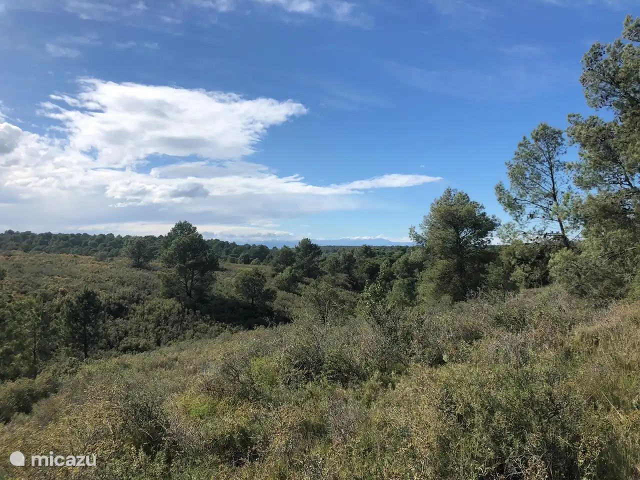 Grande forêt / réserve naturelle à deux pas