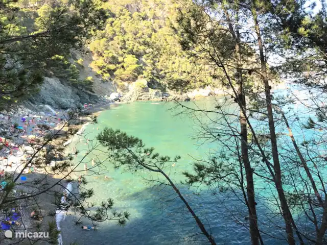 Casa la Colina | Espagne, Costa Brava, L'Estartit - maison de vacances Une des nombreuses baies magnifiques autour de Begur