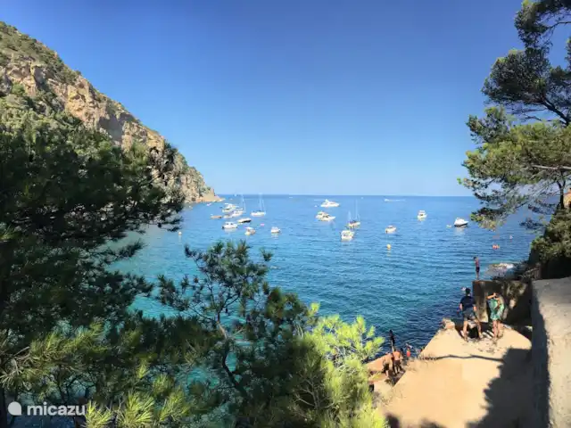 Casa la Colina | Espagne, Costa Brava, L'Estartit - maison de vacances Une des nombreuses baies magnifiques autour de Begur