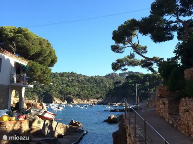Casa la Colina | Espagne, Costa Brava, L'Estartit - maison de vacances Une des nombreuses baies magnifiques autour de Begur