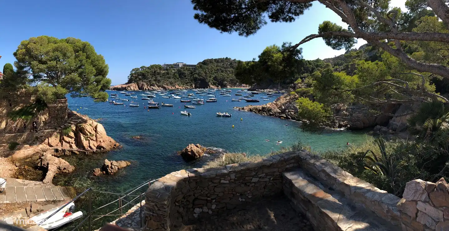 Une des nombreuses baies magnifiques autour de Begur