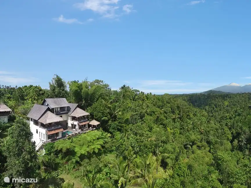 Rent MindBlowing Jungle Villa / Stunning in Ubud, Bali. Micazu
