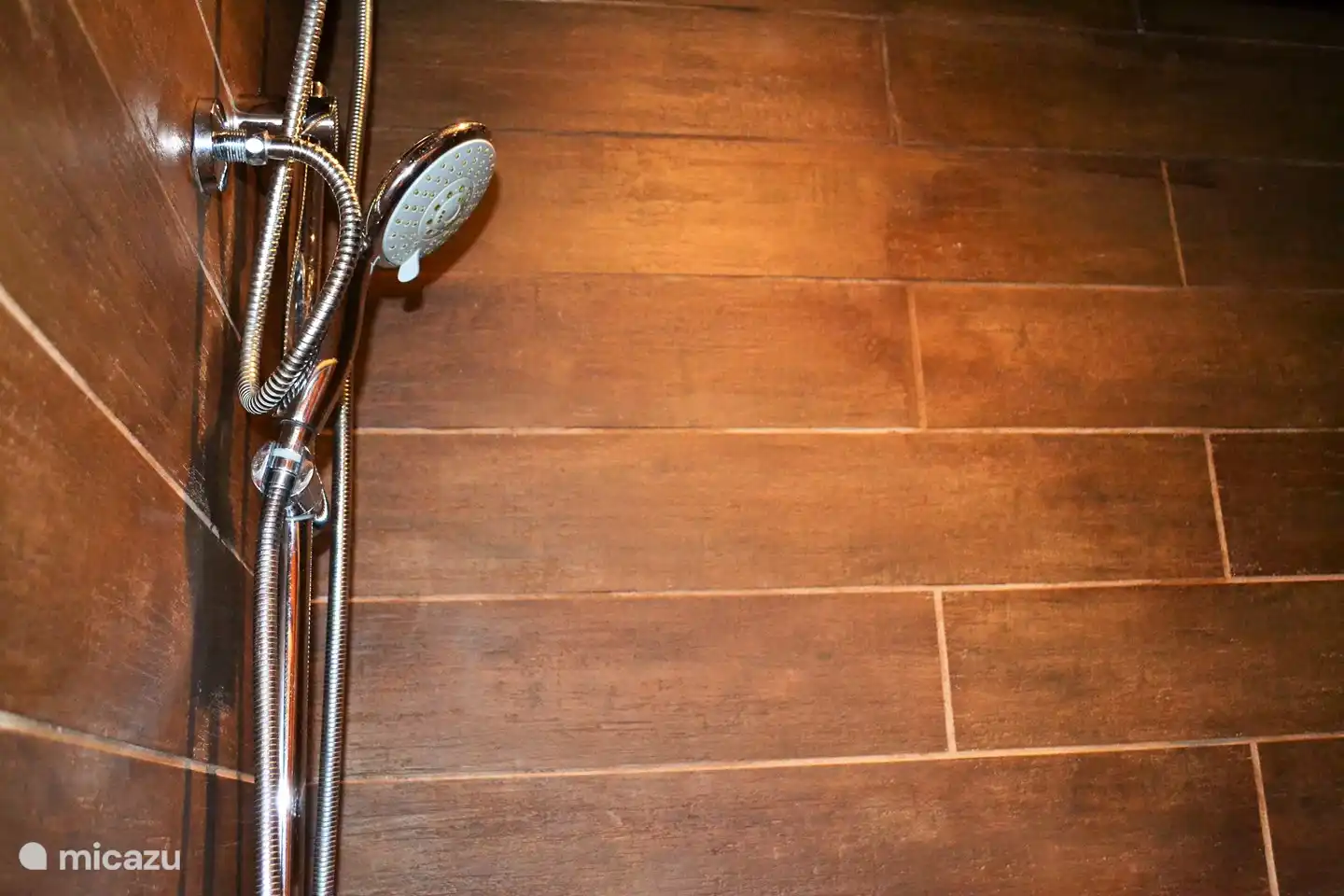 Baño con ducha y WC.