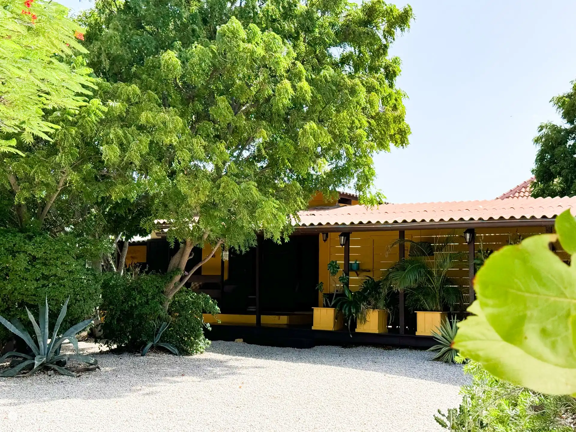 El Garden Bungalow con la amplia terraza sombreada ofrece mucha privacidad y aquí se puede disfrutar de la brisa siempre refrescante.
